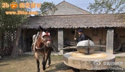 磨坊