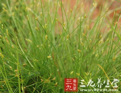 飘拂