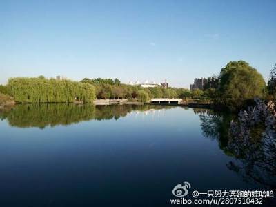 清冽