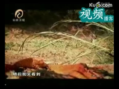 顷刻