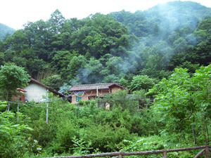 山里