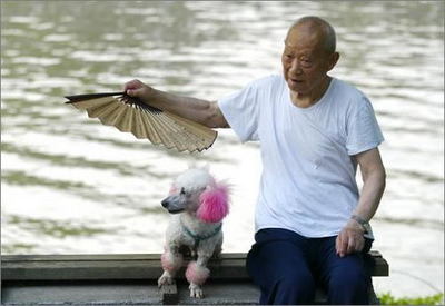扇风