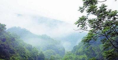 深山
