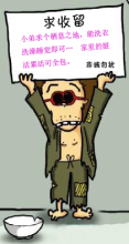 收留
