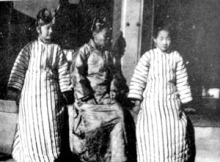 所填