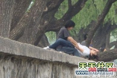 雅观
