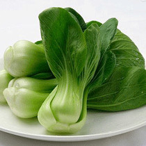 油菜