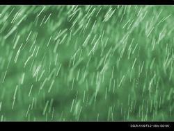 雨丝
