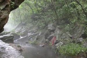 瘴气