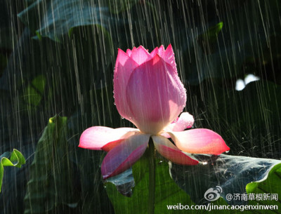 阵雨