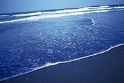 海潮
