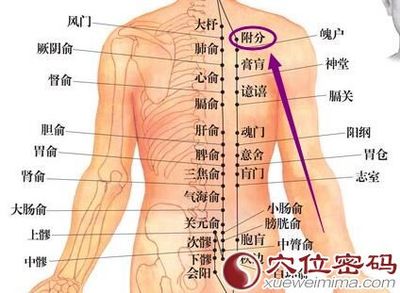 肩背