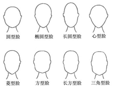 脸形