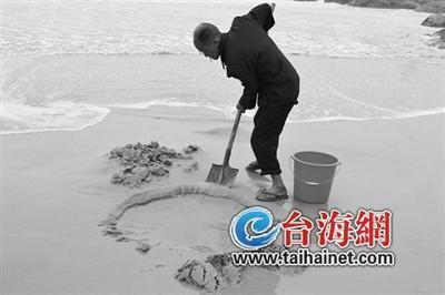 退潮