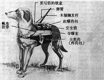 绑上
