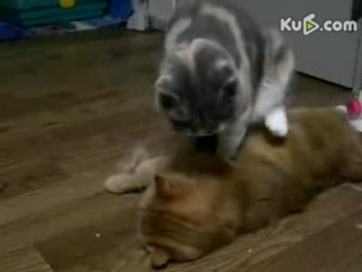 绑住
