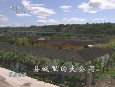 拨给