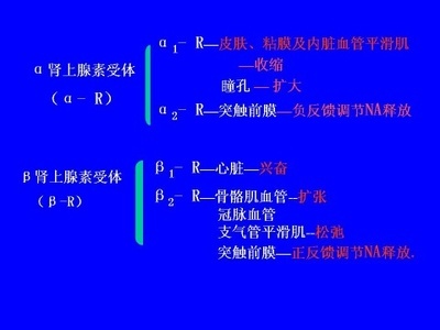 传出