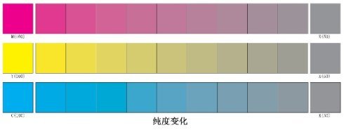 纯度