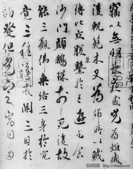 嵯峨