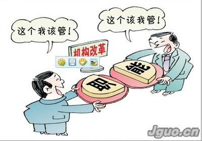 代庖