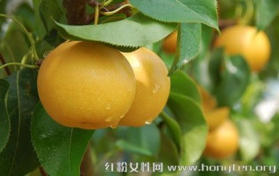 当令