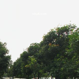 当路