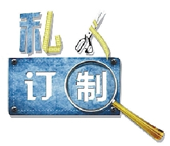 定制