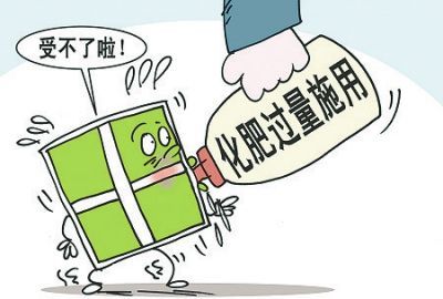 肥力