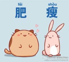 肥瘦