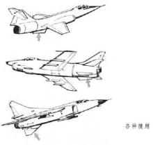 腹鳍