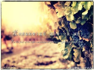 公义