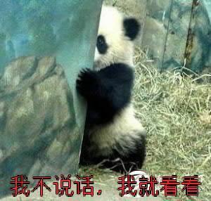滚来