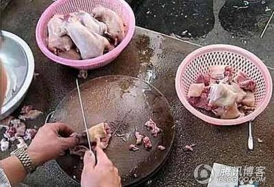 耗子