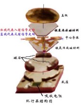 环行