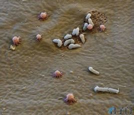 缓步