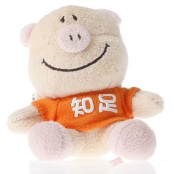 寄望