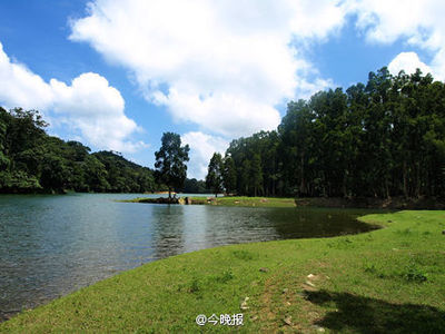 郊野
