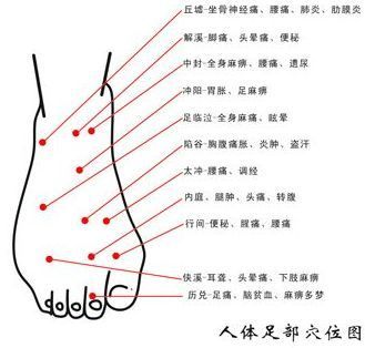 脚背