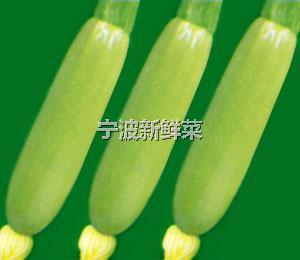节瓜
