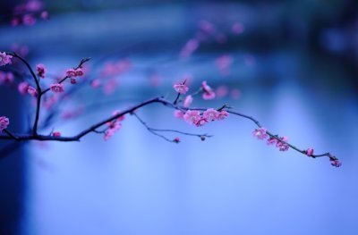 静立