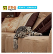 累坏