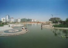 龙游
