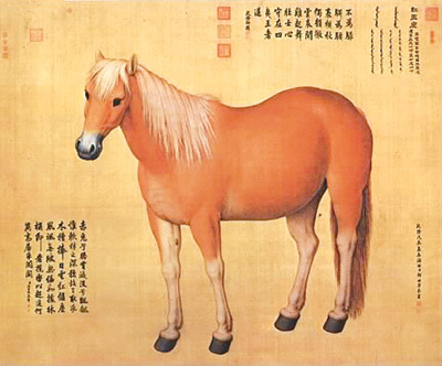掠走