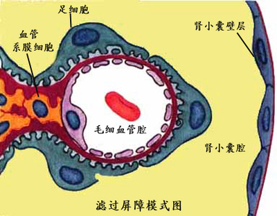 滤过
