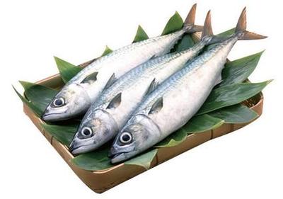 马鲛