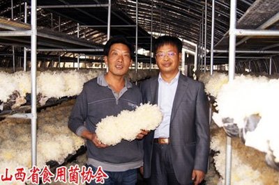 明昌