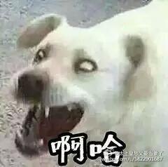 娘子