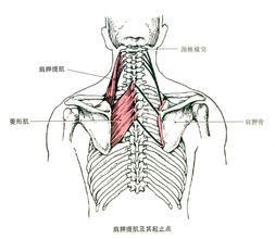 起止