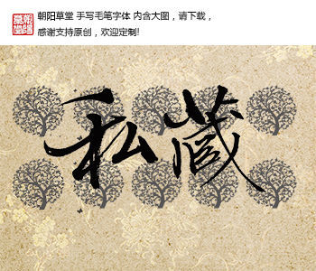 私藏